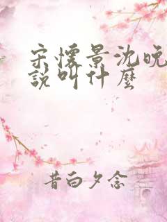 宋怀景沈晚怡小说叫什么