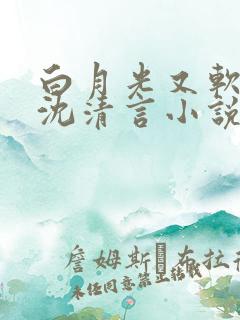 白月光又软又野沈清言小说免费阅读