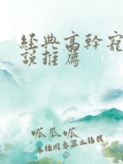 经典高干宠文小说推荐
