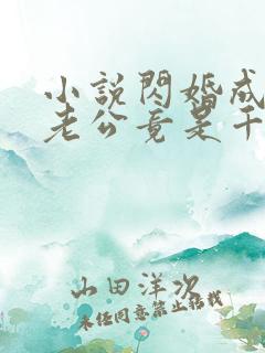 小说闪婚成宠,老公竟是千亿大佬