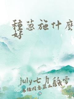 种葱施什么肥料好