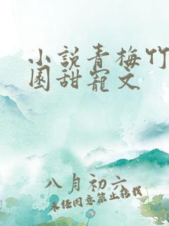 小说青梅竹马校园甜宠文
