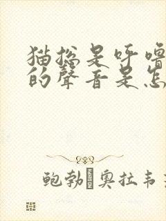 猫总是呼噜呼噜的声音是怎么回事