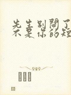 先生别闹了新娘不是你的短剧全集免费