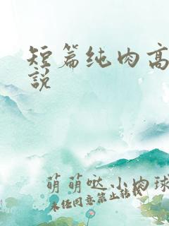 短篇纯肉高h小说