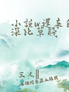 小说w迟来的情深比草贱