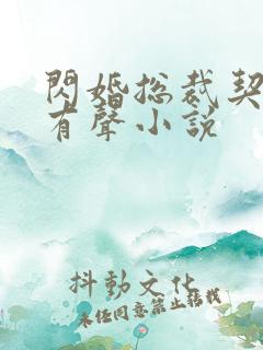 闪婚总裁契约妻有声小说