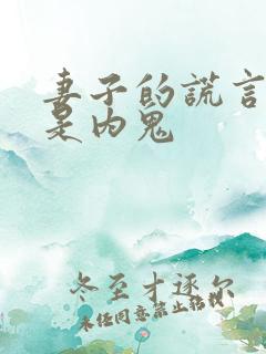 妻子的谎言中谁是内鬼