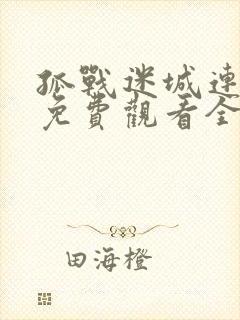 孤战迷城连续剧免费观看全集高清