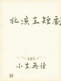 北凉王短剧全集
