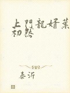 上门龙婿叶辰箫初然