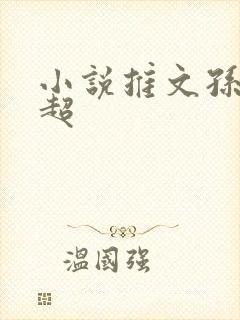 小说推文孙敏李超