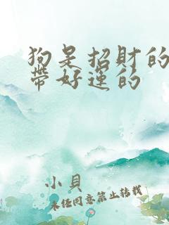 狗是招财的还是带好运的