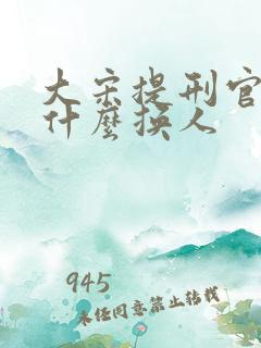 大宋提刑官2为什么换人