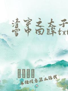 清穿之太子娇妃雪中回眸txt