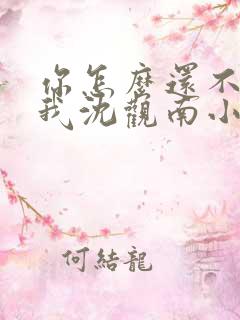 你怎么还不来哄我沈观南小说免费阅读