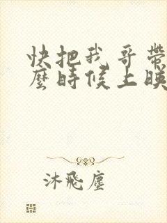 快把我哥带走什么时候上映