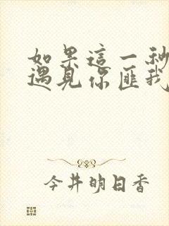 如果这一秒我没遇见你匪我思存