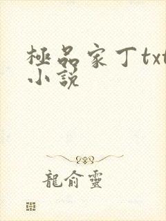 极品家丁txt小说