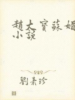 赵大宝苏媚赵勇小说