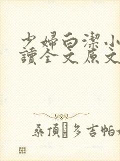 少妇白洁小说阅读全文原文