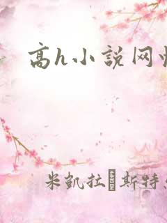 高h小说网快穿