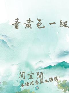 看黄色一级大片