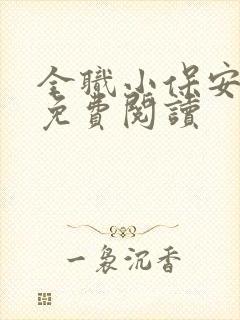 全职小保安小说免费阅读