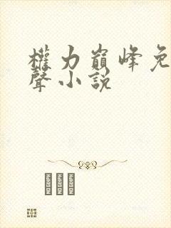 权力巅峰免费有声小说