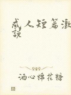 成人短篇激情小说