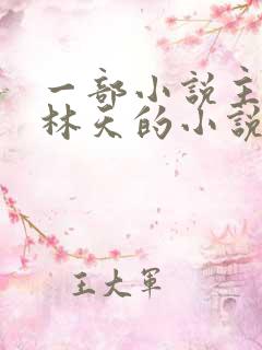 一部小说主角叫林天的小说