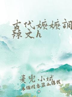 古代嬷嬷调教肉辣文h