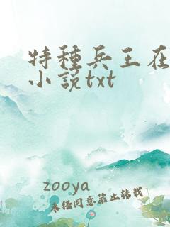 特种兵王在山村小说txt