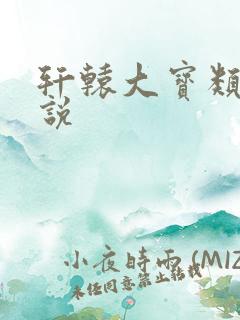 轩辕大宝类似小说