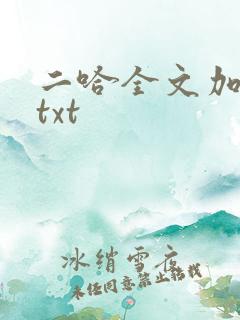 二哈全文加番外txt