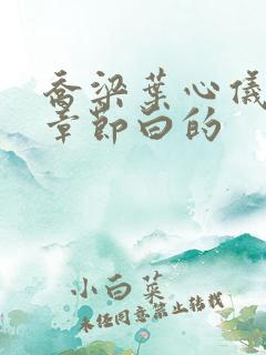 乔梁叶心仪最新章节白的