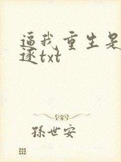 逼我重生是吧程逐txt