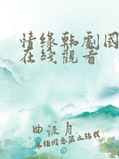 情缘韩剧国语版在线观看