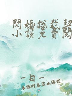 闪婚总裁契约妻小说免费阅