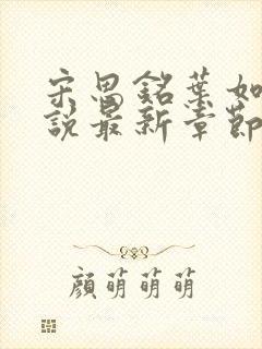宋思铭叶如云小说最新章节免费阅读