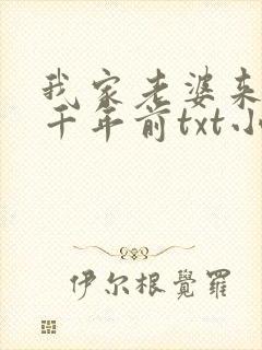 我家老婆来自一千年前txt小说
