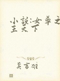 小说:女尊之凤主天下