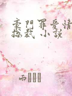 豪门罪爱情挑恶总裁 小说