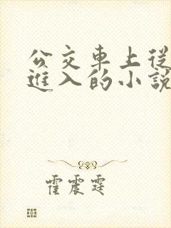 公交车上从后面进入的小说