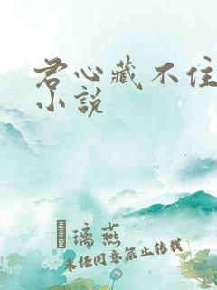 君心藏不住原著小说