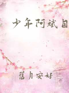 少年阿斌目录