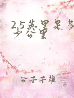 2.5英里是多少公里