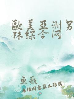 欧美亚洲另类丝袜综合网