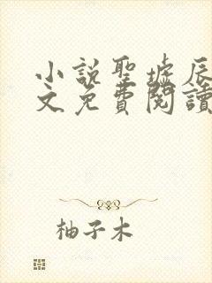 小说圣墟辰东全文免费阅读完整版