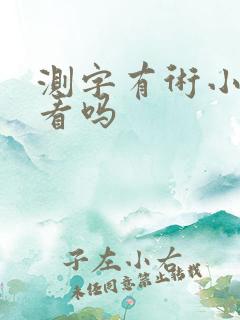测字有术小说好看吗
